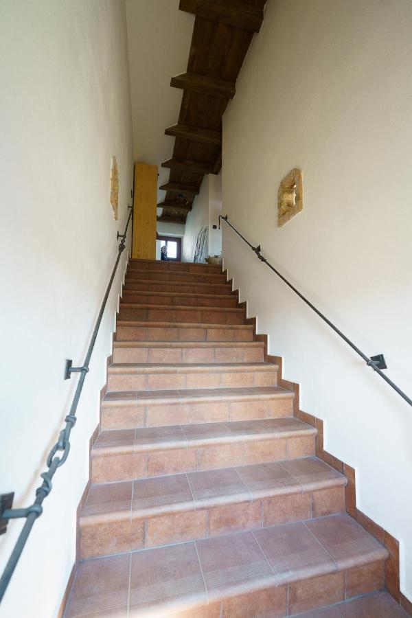 Pouzdrany Apartmany Pausram מראה חיצוני תמונה